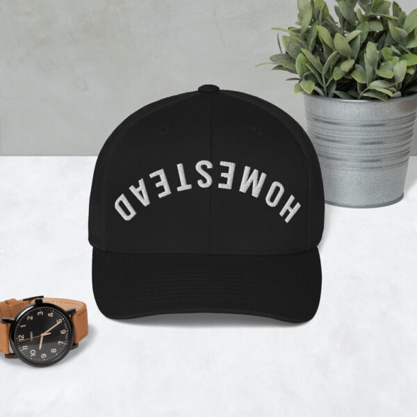 Upside-Down Homestead – Hat - Image 2