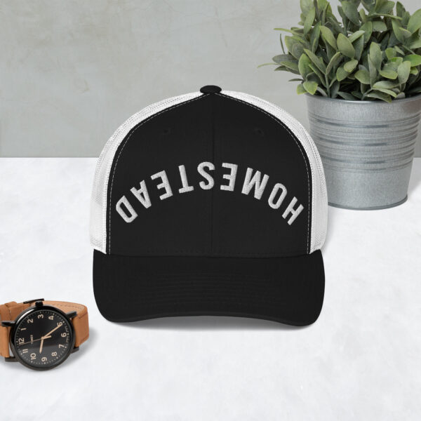 Upside-Down Homestead – Hat - Image 3
