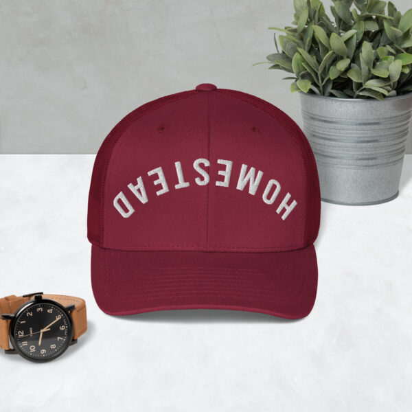 Upside-Down Homestead – Hat - Image 8