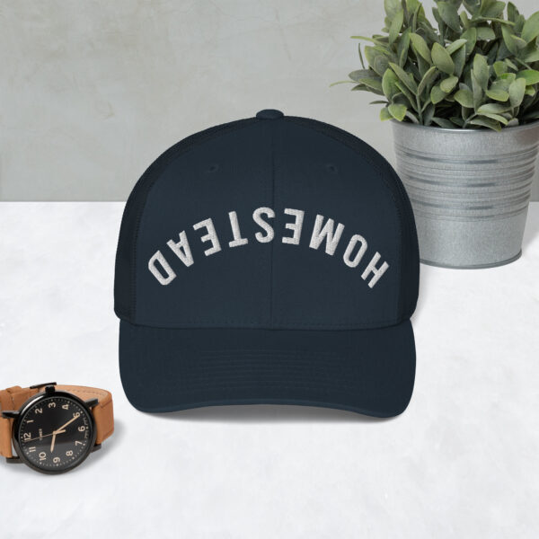 Upside-Down Homestead – Hat - Image 4